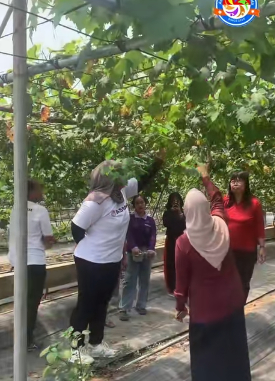 DUTA PENGANGGURAN