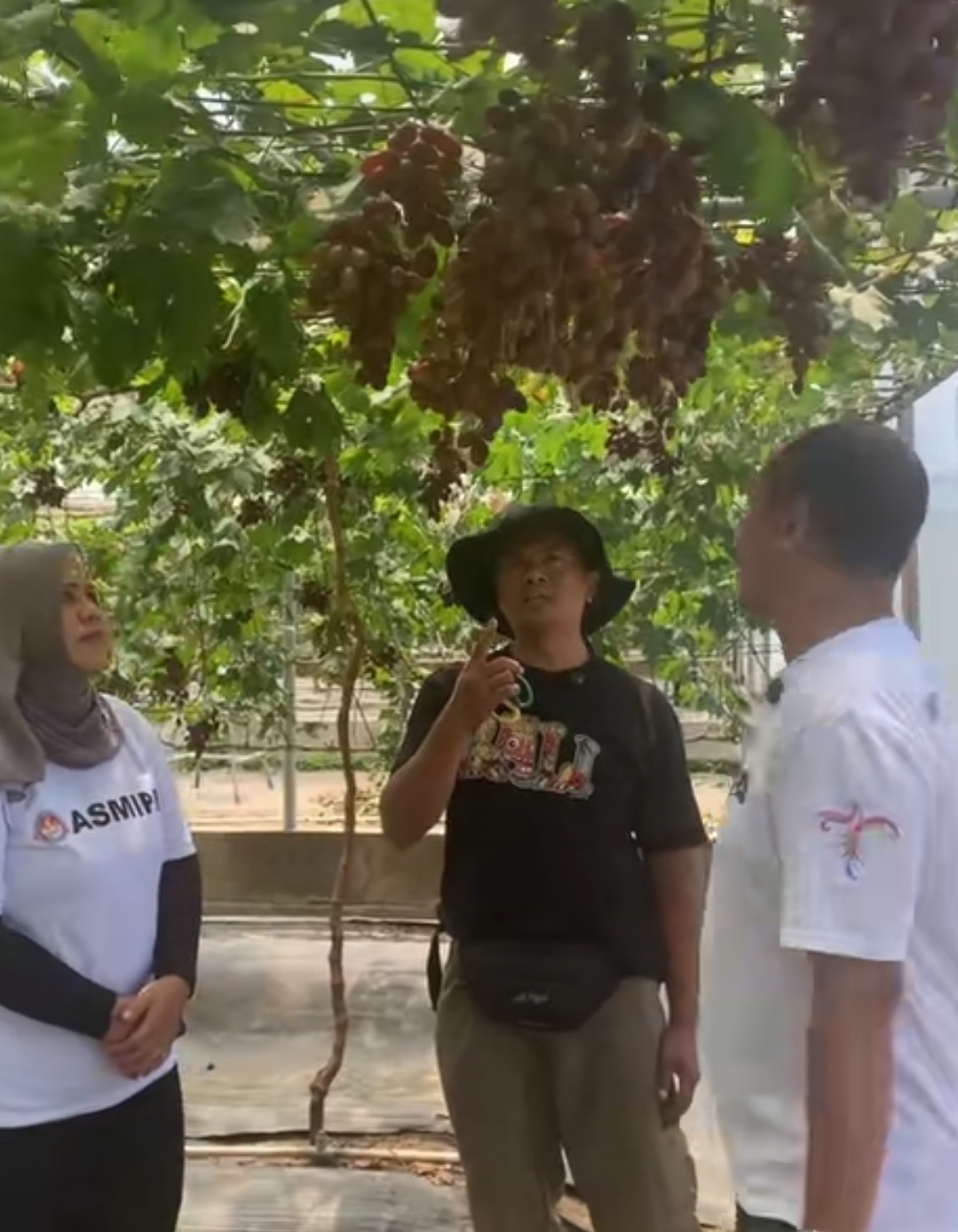 DUTA PENGANGGURAN